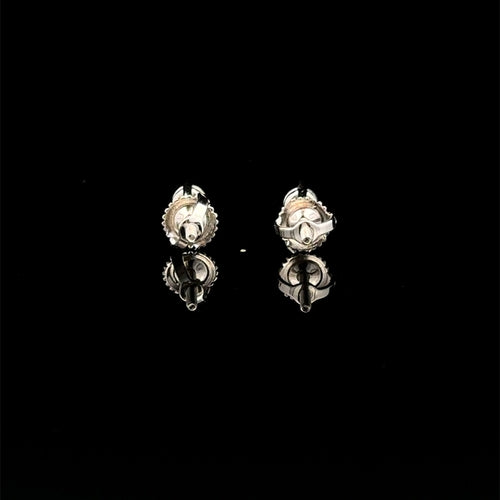 Moissanite 0.25CT Rhodium 3-Prong Earrings